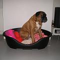Spock 30 augustus 2005 (4)